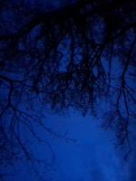 Abyss