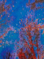 Blue alley 1