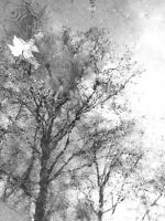Impressionism