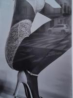 Talons